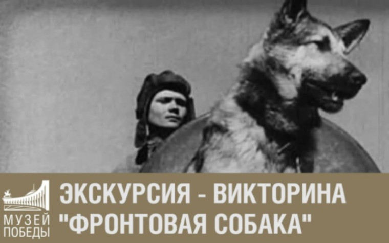 Экскурсия в Музей Победы "Фронтовая собака".